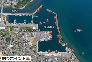 那珂湊でタコ釣り完全ガイド【2026年版】茨城・ひたちなか市の実績ポイントでマダコを狙う仕掛け・時期・釣り方を徹底解説