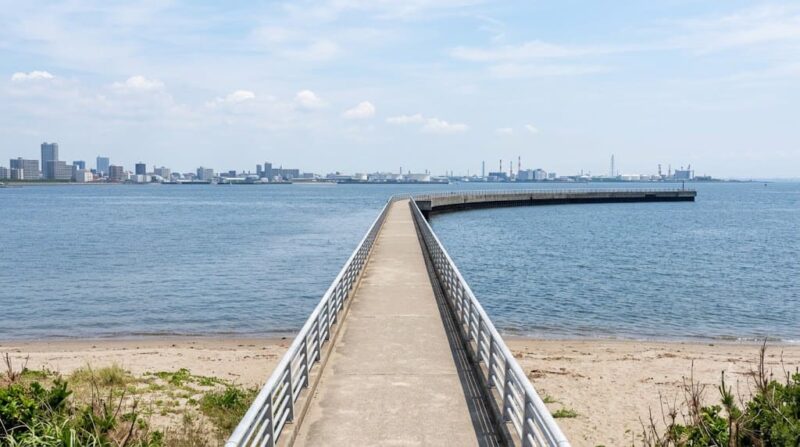 検見が浜の秋