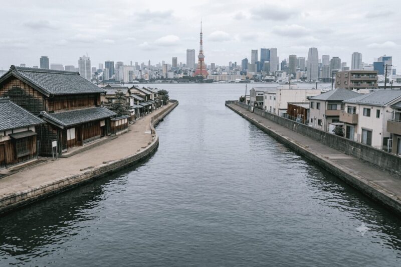 雨の日のたこ